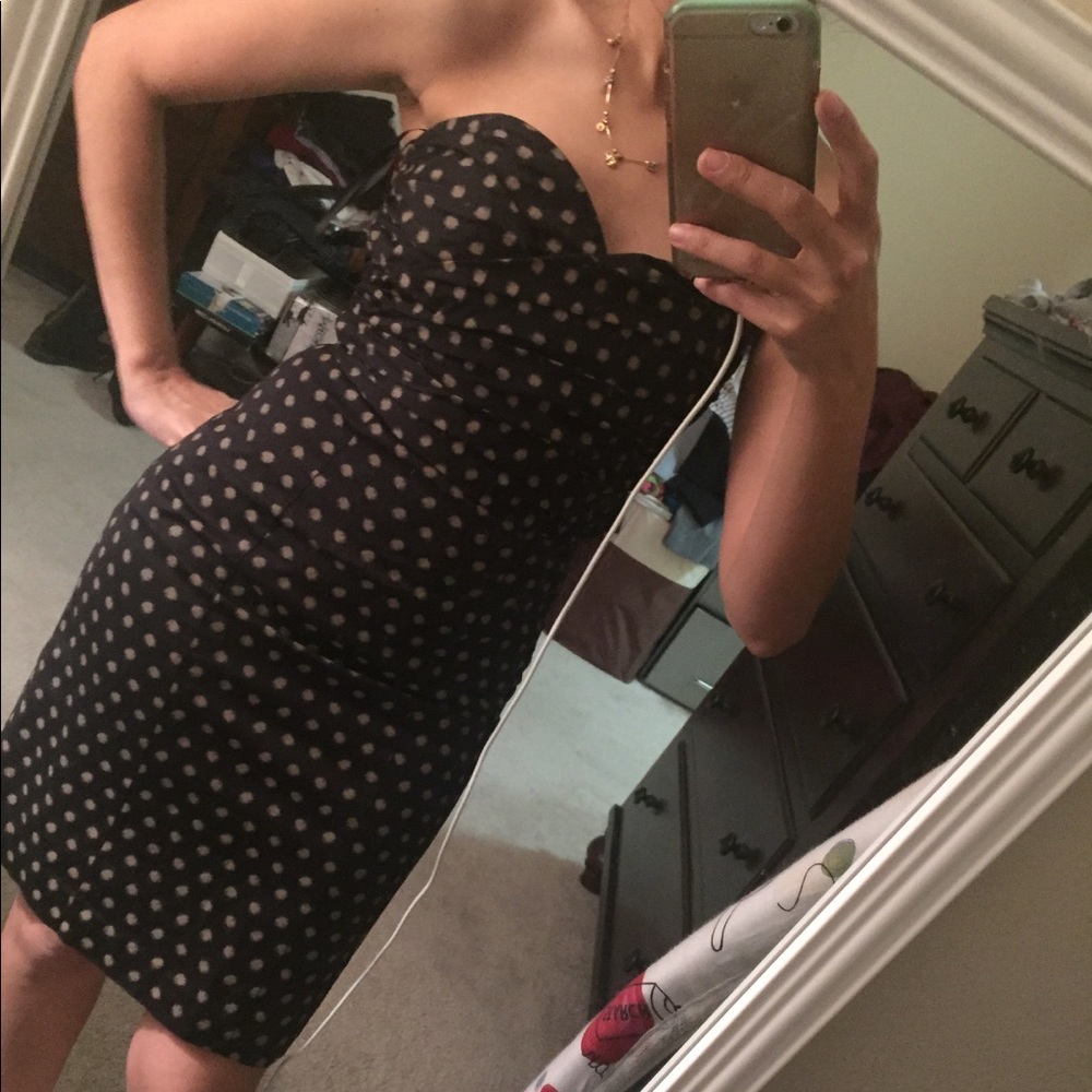 Short black with brown dots
